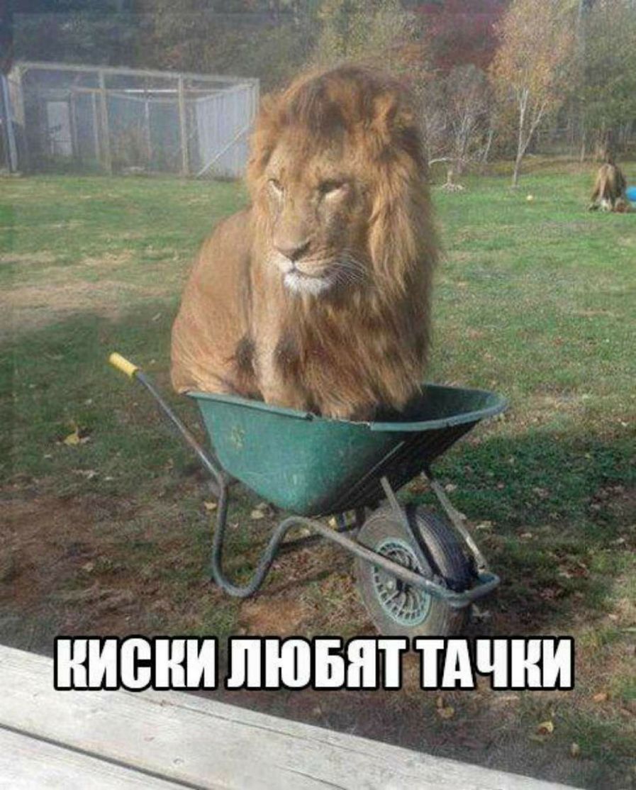 писни пювядч_ни