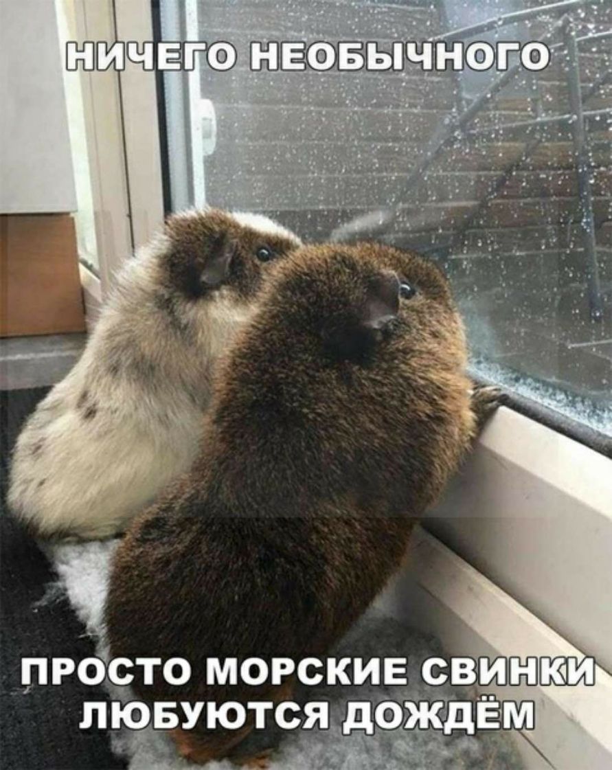 люБуютсяд _