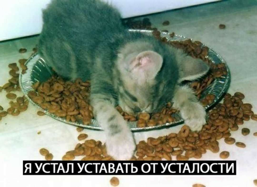 я УСТАЛАУСТАВАТЬ бт УСТАлости