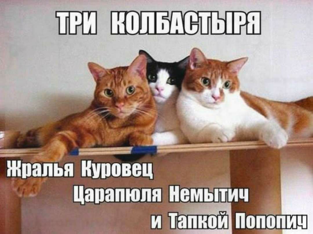 ШШ нольдетыгн Щпапья ниповец а Цапапюпя Немытич