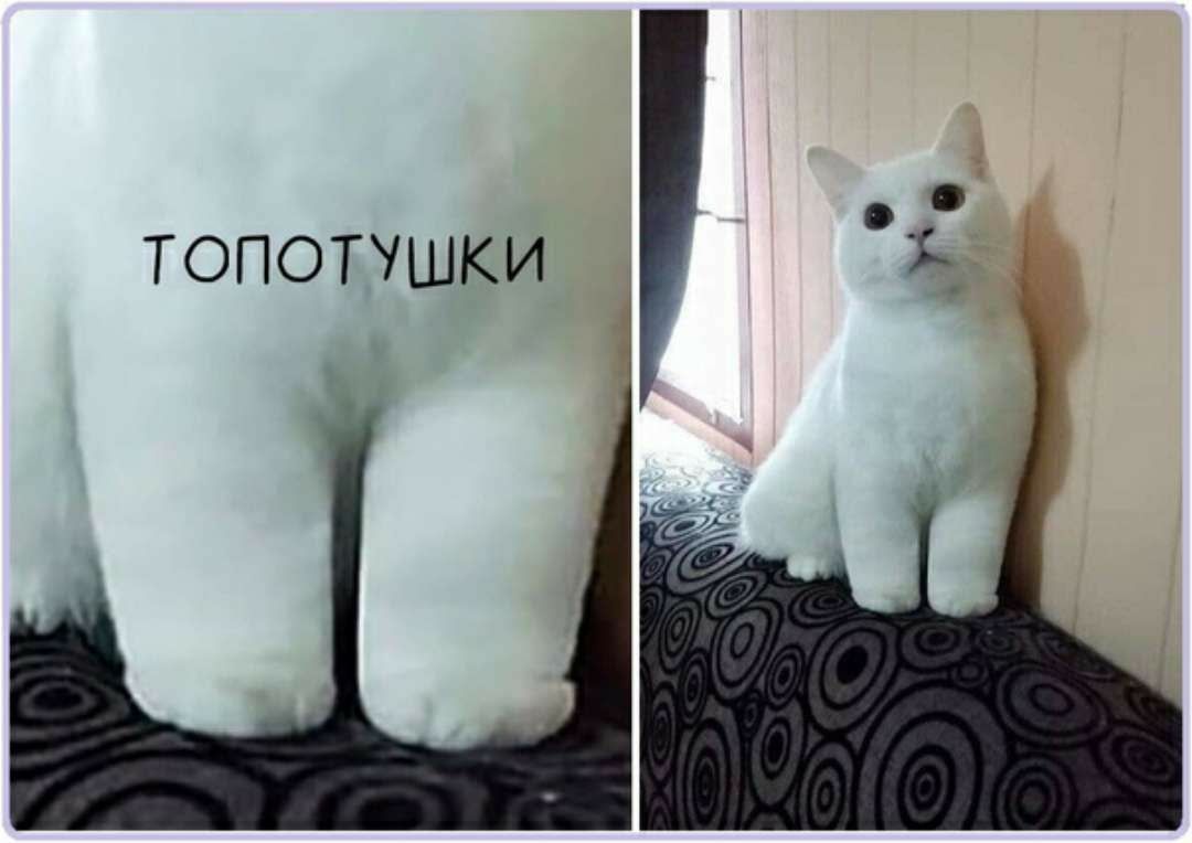 ТОПОТУШКИ