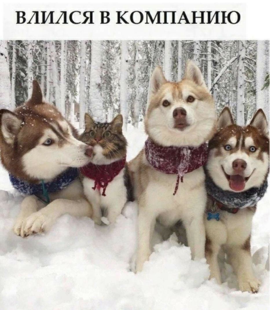 ВЛИЛСЯ В КОМПАНИЮ Мм _ 81 Ь и ть ч_ _ ч _ на __ ь ь у п д е в _ 4 _ _ и _