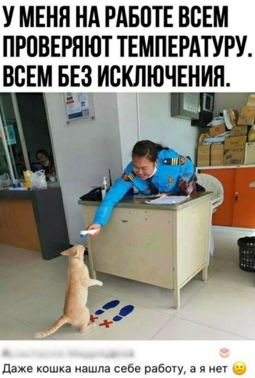 У МЕНЯ НА РАБОТЕ ВСЕМ ПРОВЕРЯЮТ ТЕМПЕРАТУРУ ВСЕМ Б_Е3 ИСКЛЮЧЕНИЯ
