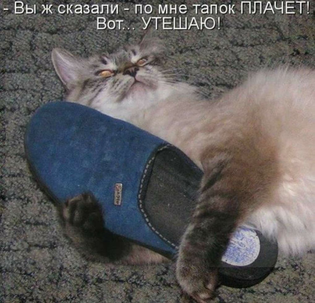 Вы ж сказали по мне тапок ПЛАЧЕТ Вот УТЕШАЮ