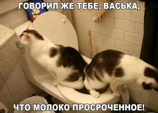 т ашоко пвещойвнноы