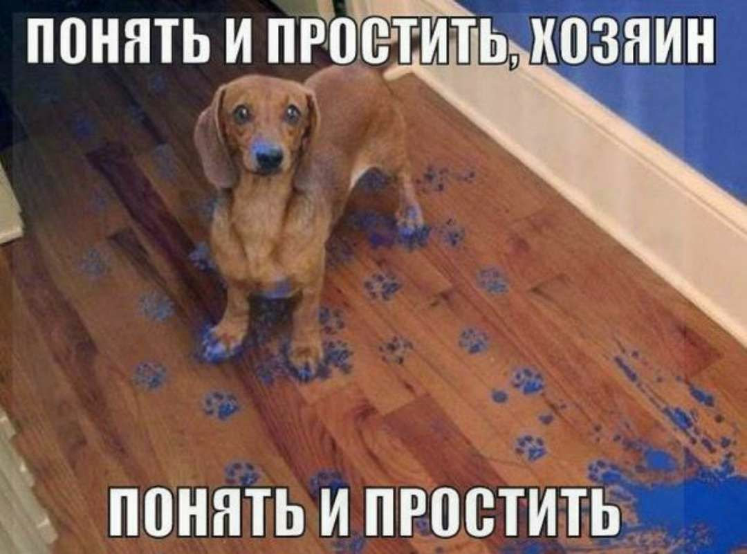 понятьипфсггитца