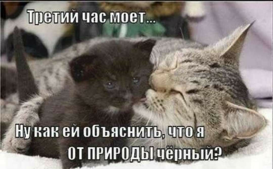 от прироы епГБпиэ