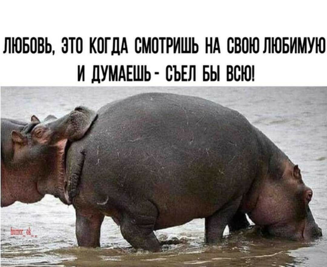 ЛЮБОВЬ ОТО КОГДА ОМОТРИШЬ НА ОВОЮ ЛЮБИМУЮ И ДУМАЕШЬ ОЪЕЛ БЫ ВСЮ