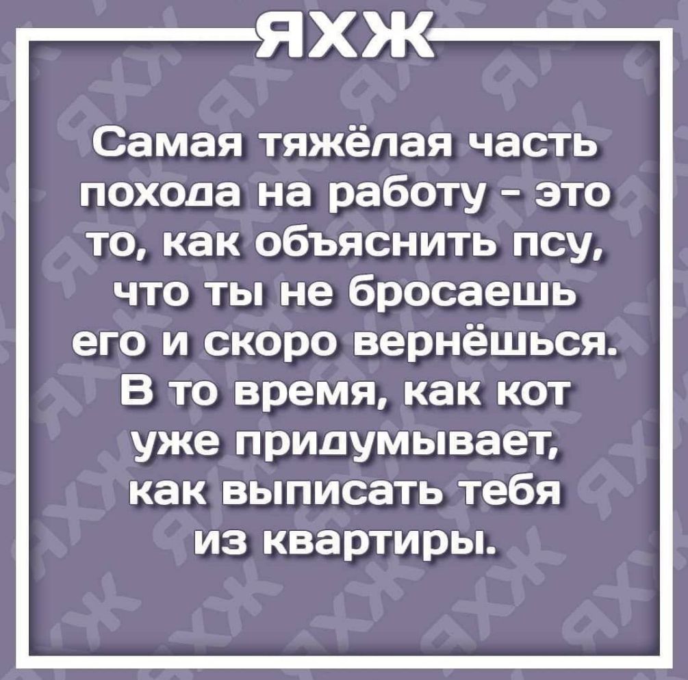 ЯХЖ Самая тяжёлая часть похода на работу это то как объяснить псу что ты не бросаешь его и скоро вернёшься В то время как кот уже придумывает как выписать тебя из квартиры