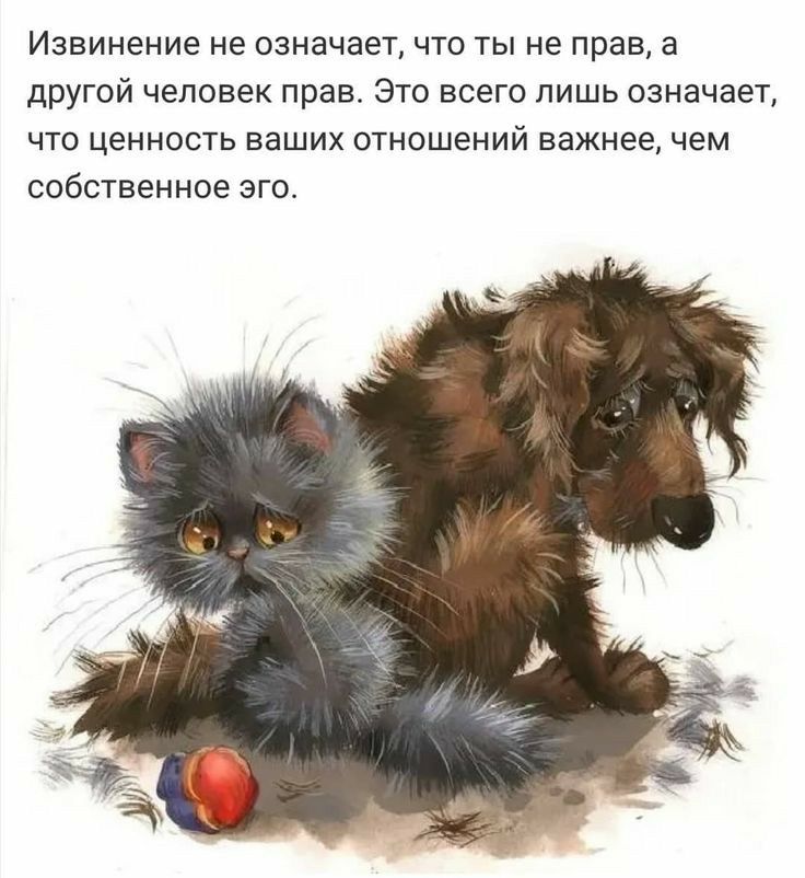 Извинение не ОЗНЭЧЭЭТ ЧТО ТЫ не прав а дРУГОЙ ЧЭЛОВЗК ПРЭВ ЭТО ВСЗГО ЛИШЬ ОЗНЭЧЭЕТ ЧТО ЦЭННОСТЬ ВЭШИХ ОТНОШЕНИЙ важнее чем СОбСТВЕННОЭ ЭГО