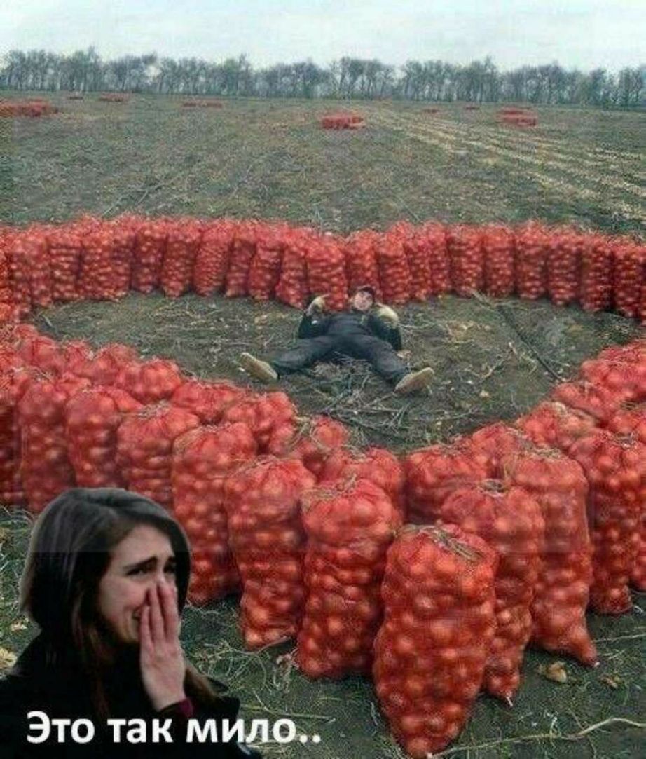 д 1 33 и ь у Это так мило
