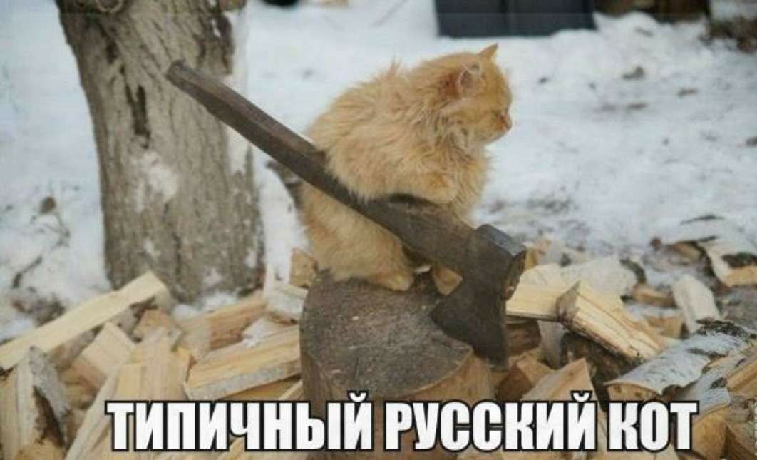 5 типичныи жении нота