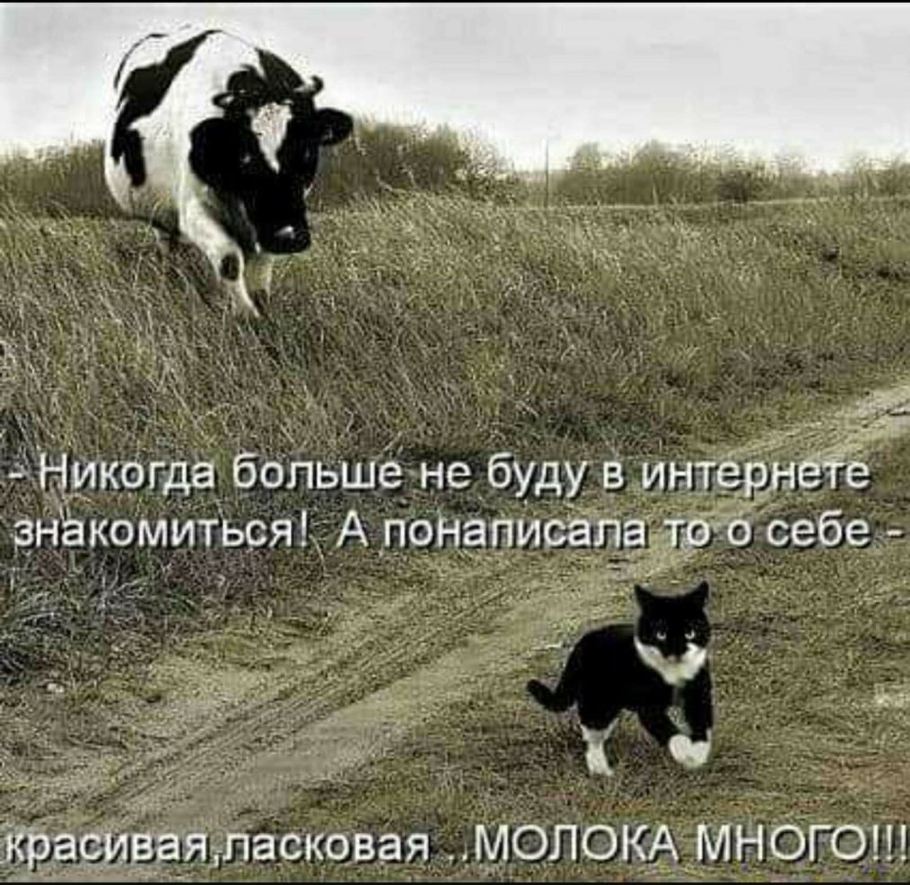 го МНО ОК___А асковая МОЛ п йвая крае РГЗ