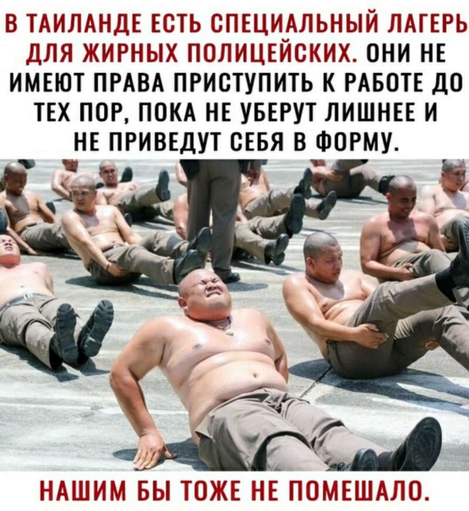 В ТАИЛАНДЕ ЕСТЬ СПЕЦИАЛЬНЫЙ ЛАГЕРЬ ДЛЯ ЖИРНЫХ ПОЛИЦЕЙСКИХ ОНИ НЕ ИМЕЮТ ПРАВА ПРИСТУПИТЬ К РАБОТЕ ДО ТЕХ ПОР ПОКА НЕ УБЕРУТ ЛИШНЕЕ И НЕ ПРИВЕДУТ СЕБЯ В ФОРМУ