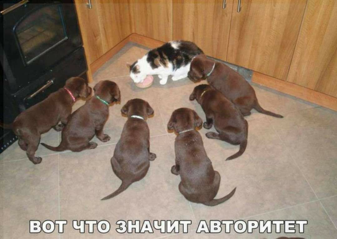 Маюаъпашт
