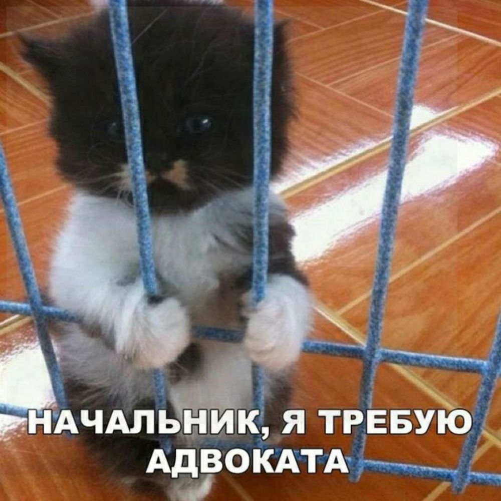 А д д БУЮ Я ТРЕ и 0 А к и н Ь Ш Ч А Ц