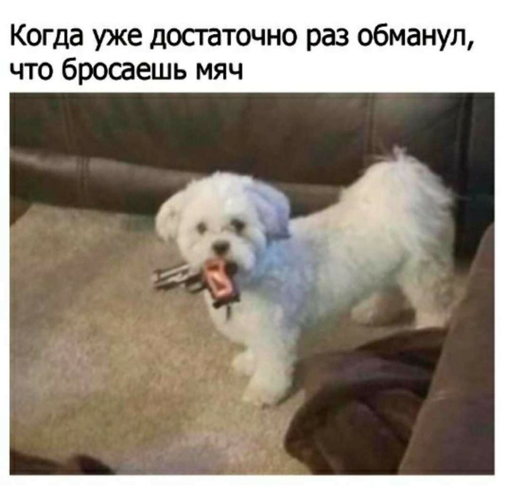 Когда уже достаточно раз обманул что бросаешь мяч