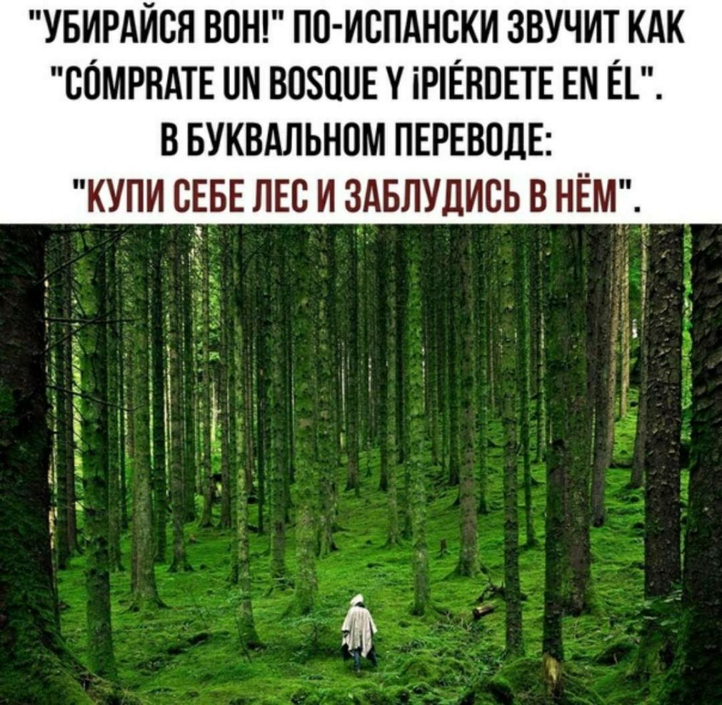 УБИРАЙВЯ ВПН ПО ИСПАНСКИ ЗВУЧИТ КАК СОМРВАТЕ ПМ ВОЗППЕ У іРЁНПЕТЕ ЕМ Н В БУКВАЛЬНПМ ПЕРЕВОДЕ КУПИ СЕБЕ ЛЕС И ЗАБЛУЛИСЬ В НЁМ