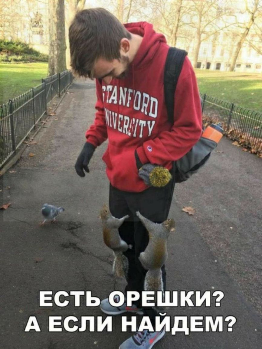 ЕСТЬъФРЁЬКИ 9 А ЕСЛИ ііАИ дЕМ