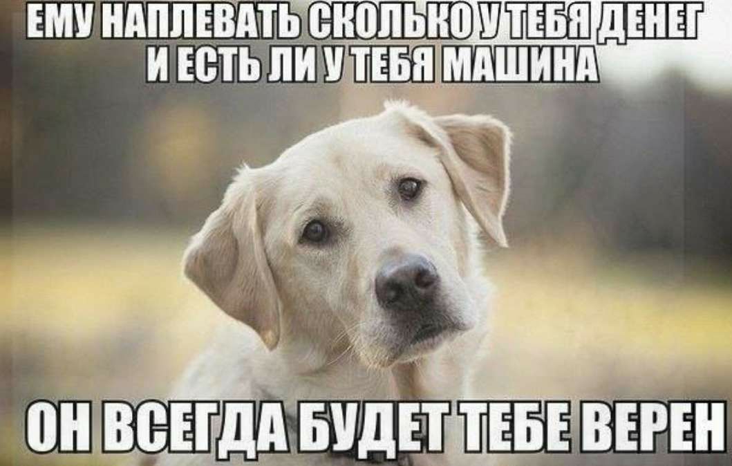 ши ндппшдщёншпо твт денег и Есть ничуть и __ оныщъівддъпднтвъввгън