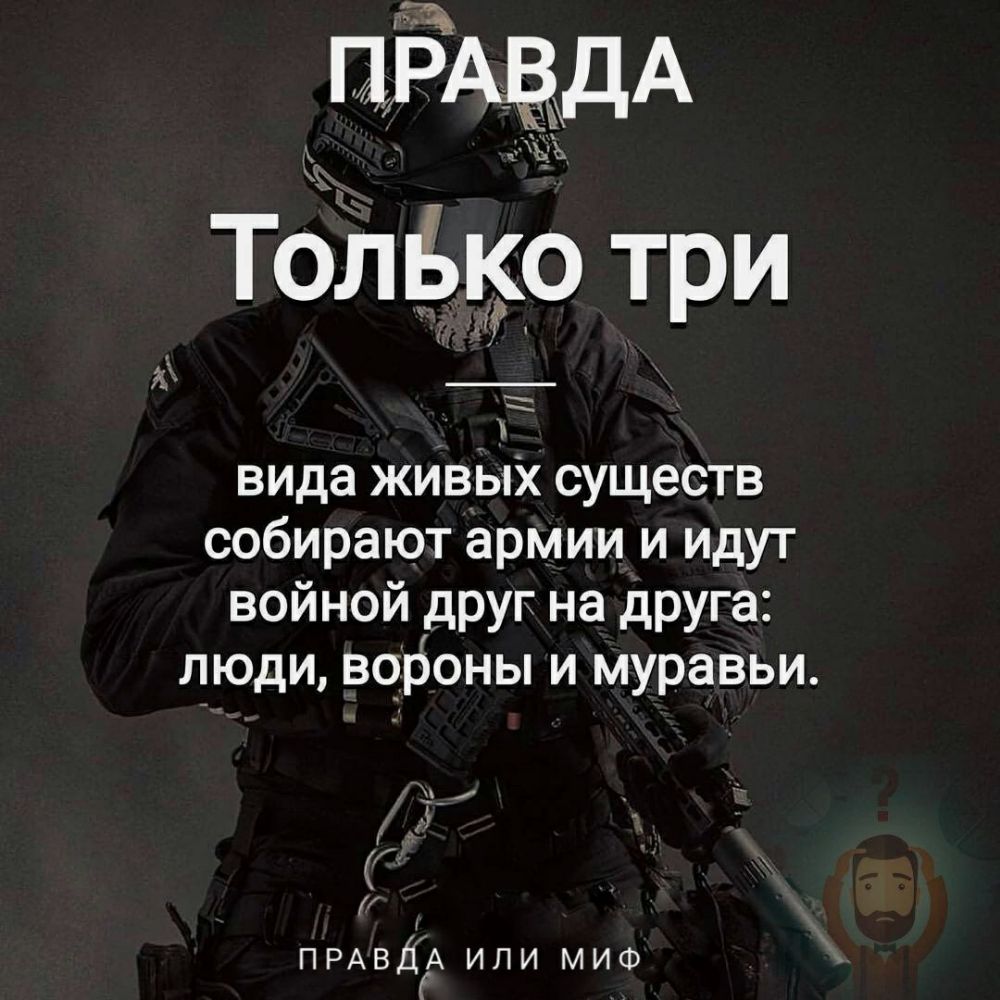 иРАёдА ТолЬко три вида живЫх существ собирают армии и идут войной друг на друга люди вфоны и муравьи 1 ПРАВДГА или МИФ