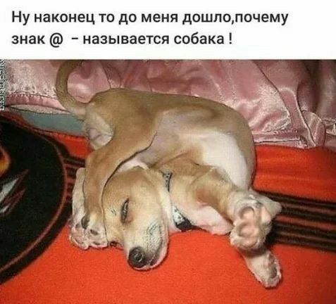 Ну наконец то до меня дошпопочему знак называется собака