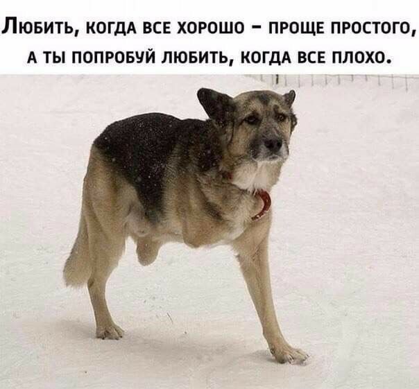 ЛЮБИТЬ КОГДА ВСЕ ХОРОШО ПРОЩЕ ПРОСТОГО А ТЫ ПОПРОБЧЙ ЛЮБИТЬ КОГДА ВСЕ ПЛОХО