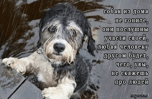 УШЩ