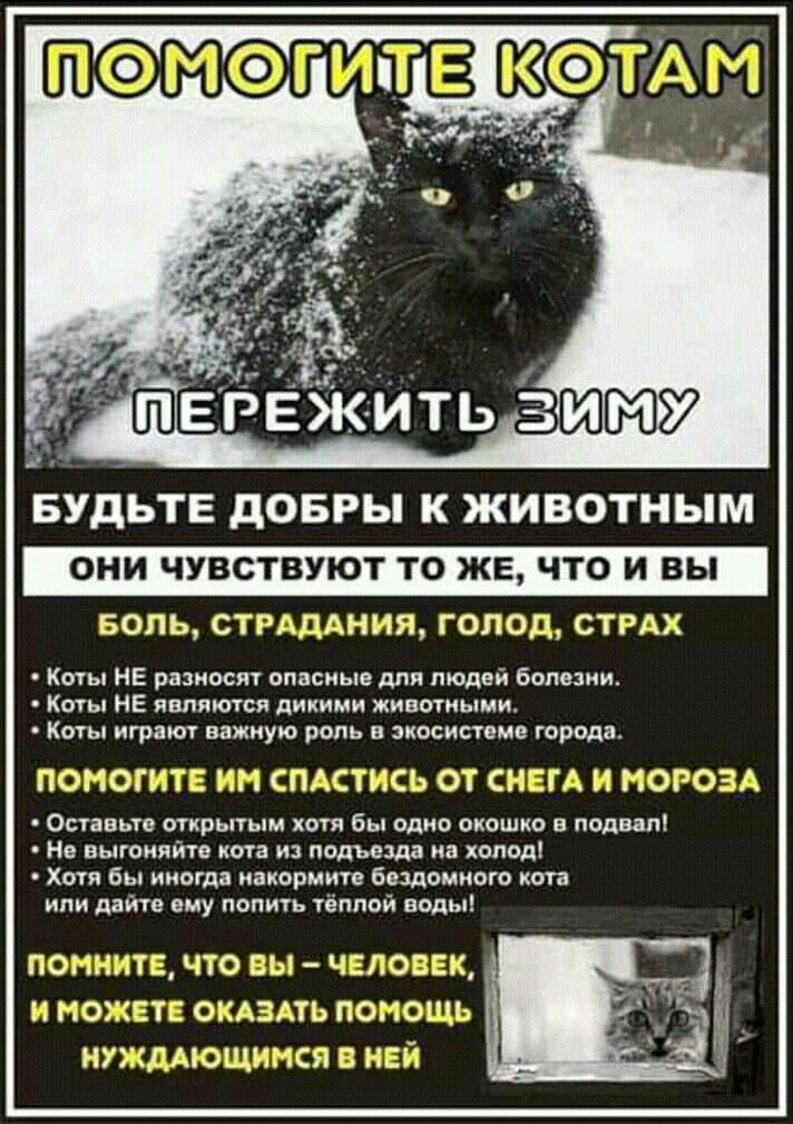 БУДЬТЕ дОБРЫ К ЖИВОТНЫМ ОНИ ЧУВСТВУЮТ ТО ЖЕ ЧТО И ВЫ БОЛЬ СТРАДАНИЯ ГОЛОД СТРАХ Киты НЕ разносят опасные для людей болезни Коты НЕ являются дикими животными Коты играют важную роль в экосистеме города ПОМОГИТЕ ПМ СПАСТИСЬ ОТ СНЕГА И МОРОЗА ОСТЗВЬТВ ОТКРЬПЬПЛ ХОТЯ бы ОДНО ОКОШХО В подвал Нв выгоняйте кита из подъезда на холод Хотя бы иногда иакормитв бездомного ката или дайте ему попить тёплой воды