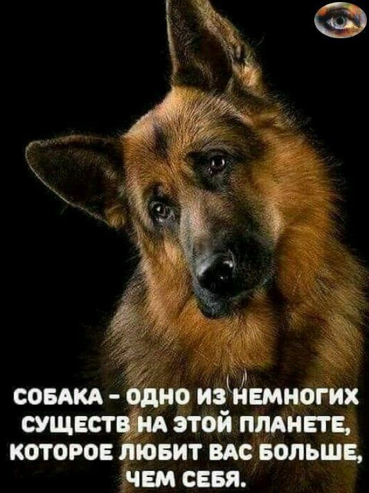 г совш но иёнвмногих сущвст Этой планете которое _ ювит вдовольшв дівм сввя