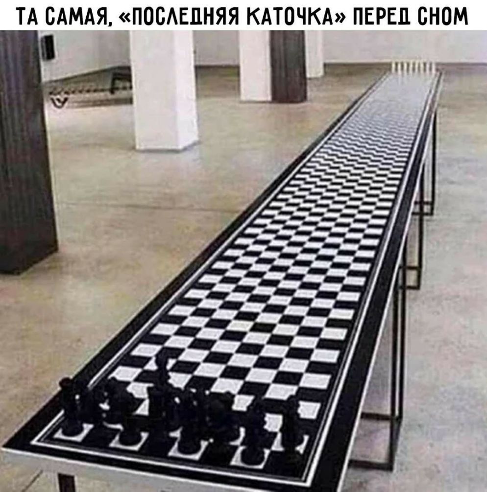 ТА САМАЯ ПОСЕПНЯЯ КАТОЧКА ПЕРЕЦ СНОМ