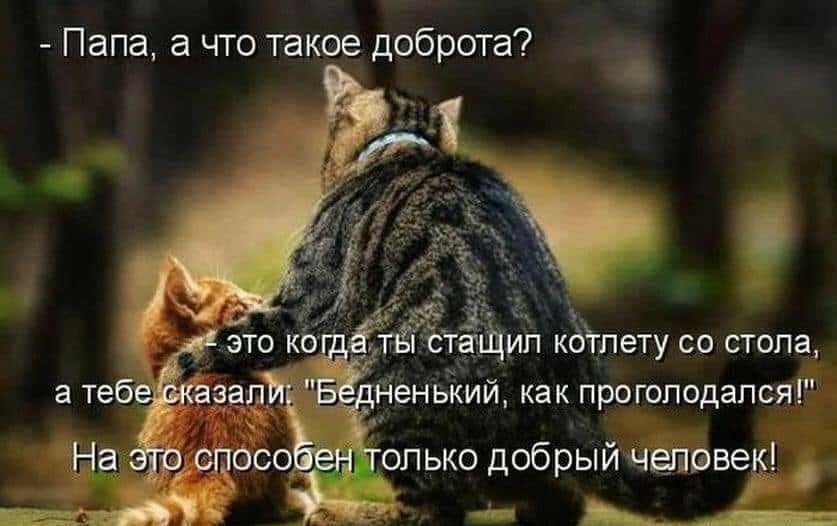 Папа а что такое доброта