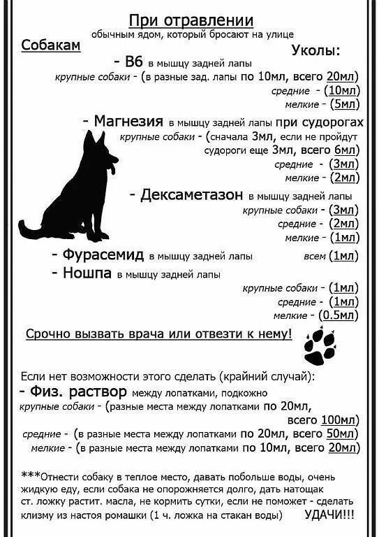 При отравлении обычным ядом который броают на улице Укил ы 56 в мышцу задней лапы крупныекпбаКИА в рееиыезее лелы пс 10мл всего одеяние мелкие _ Магнезия виышцузедыеипелы при судорогах крупные еебеки сначала 1мл если не пройдут еудареги еще Зил всего средние мелкие _ Дексаметазон в мышцу задней лепы крупные собаки средние мелкие _ Фурасемид в мышцузадней папы всемщ Ношпа в мышцу Задней лелы крупны