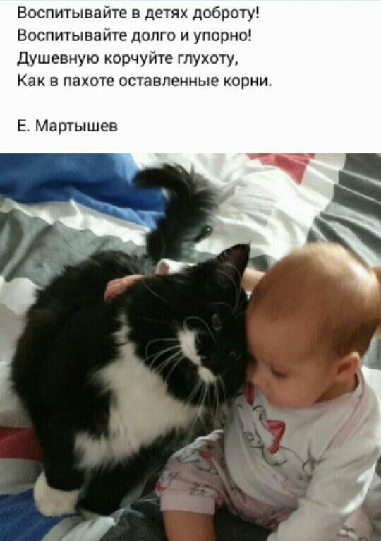 Воспитывайте в детях доброту Воспитывайте долго и упорно Душевную корчуйте гпухоту Как в пахоте оставленные корни Е Мартышев