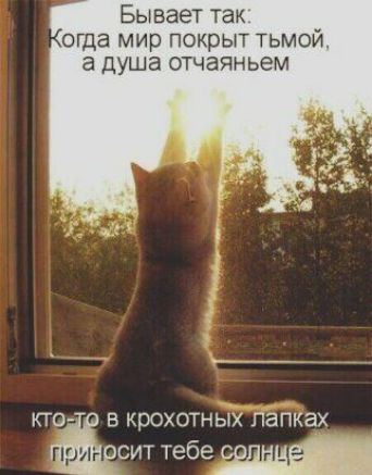 Бывает так еще мир ПОКрЫТ ТЬМОЙ а душа отчаяньем КТ Е КрОХОТНЫХ папках СИТТТТТМ