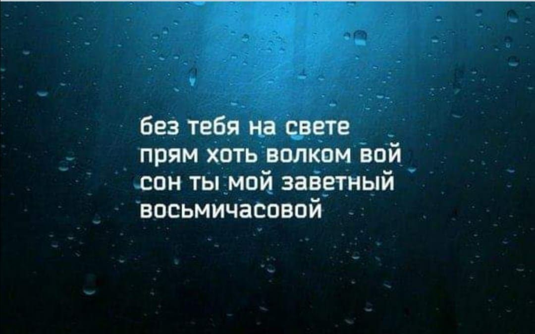 без тебя на свете прям хоть волком вой сон ты мой заветный восьмичасовой