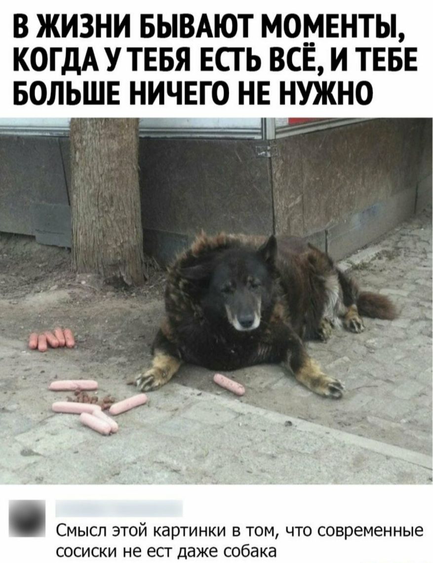 В ЖИЗНИ БЫВАЮТ МОМЕНТЫ КОГДАУТЕБЯ ЕСГ Ь ВСЁ И ТЕБЕ БОЛЬШЕ НИЧЕГО НЕ НУЖНО СМЫСЛ ЭТОЙ КЗРТИНКИ В ТОМ ЧТО современные СОСИСКИ не ест даже СОбдКд