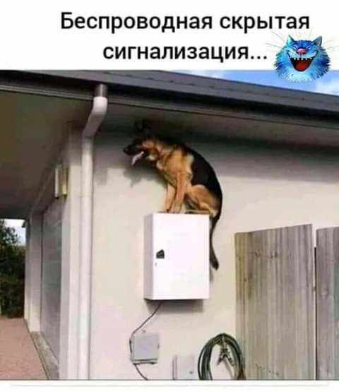 Беспроводная СКРЫТЗЯ