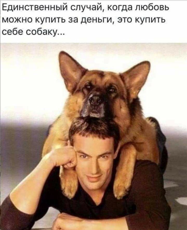 Единственный случай когда любовь можно купить за деньги это купить себе собаку