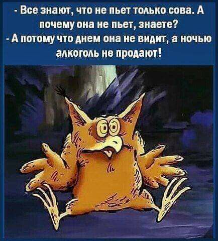 Все знают что не пьет тмькп вони А почему пиа не пьет знаете А пптпиу что днеи она не видит а ночью алкоголь не придают