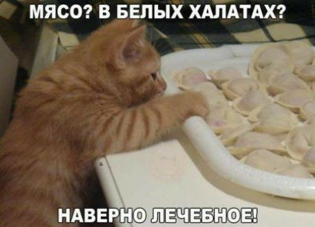 МЯСО В БЕЛЫХ ХАПАТАХ Ши