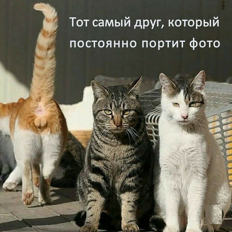 постоянно портит фото Ъ Тот самый друг который Ь
