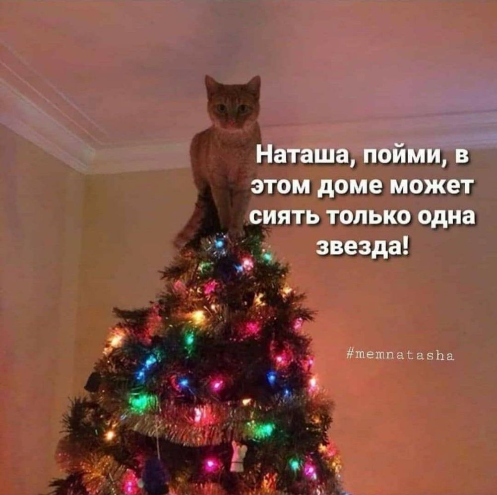 ЫЕЩШДТ з узы г чэтшышщд зашла