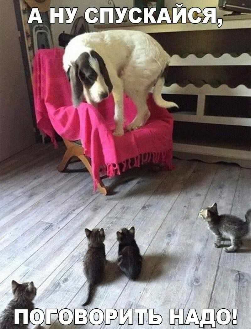 А ну епускАйЁЁЁЕ