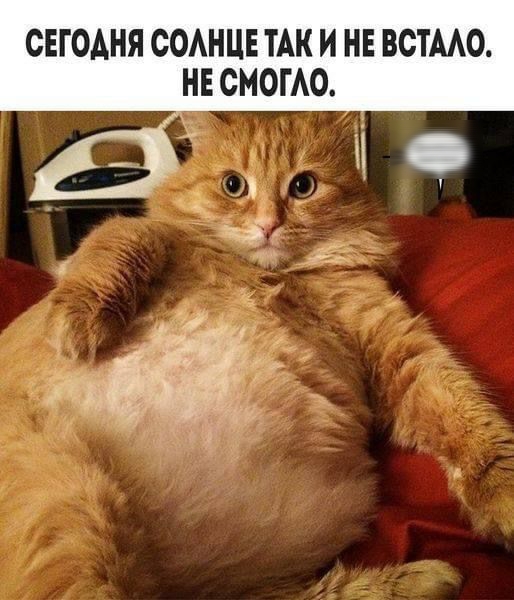 СЕГОДНЯ СОАНЦЕ ТАК И НЕ ВСТААО НЕ СМОГАО