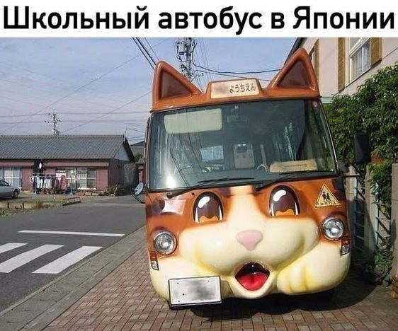 Школьный автобус в Японии 7