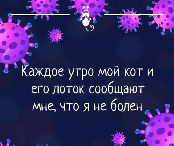 аждое утро мой кот и его лоток сообщают мне что я не болен