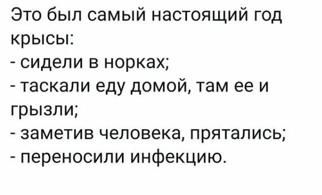 Это был самый настоящий год крысы сидели в норках таскали еду домой там ее и грызли заметив человека прятались переносили инфекцию
