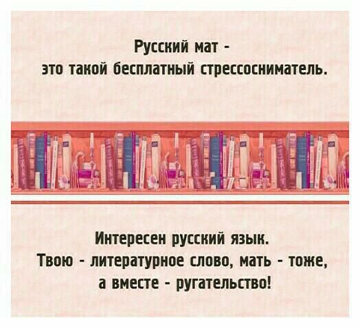 Русский мат это такой бесплатный стресспснннатепь Интересен русский язык Твою литературное сповп мать тоже а вместе ругательство