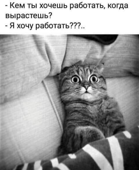 Кем ты хочешь работать когда вырастешь Я хочу работать